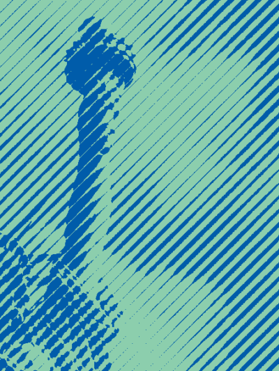 statue of liberty
