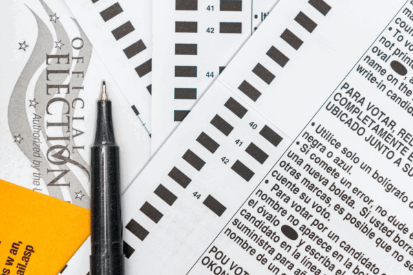 image of voter ballot sample