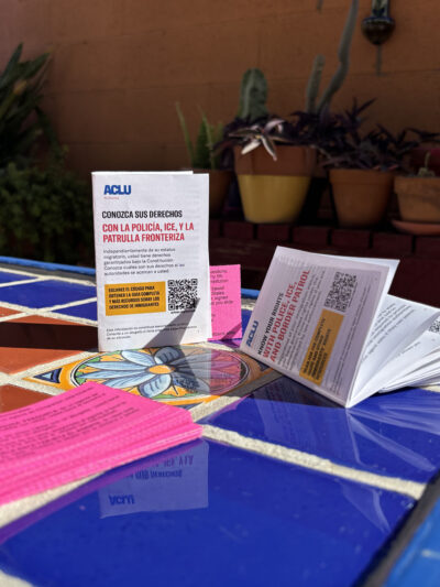 Know Your Rights zine with red cards on a tile table