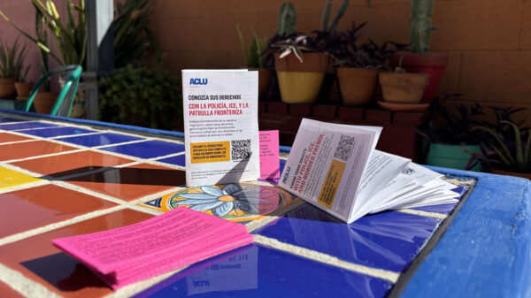 Know Your Rights zine with red cards on a tile table