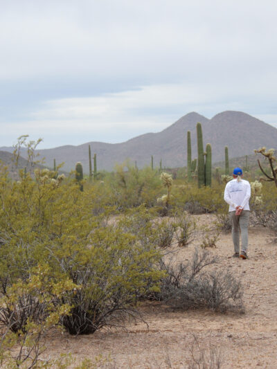 Man walking in the Sonoran Desert