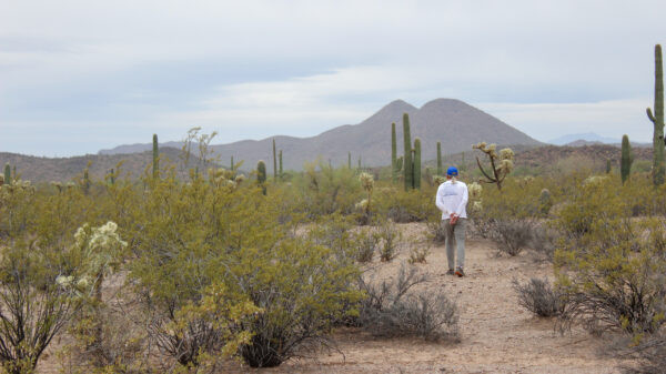 Man walking in the Sonoran Desert