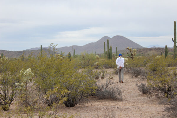 Man walking in the Sonoran Desert