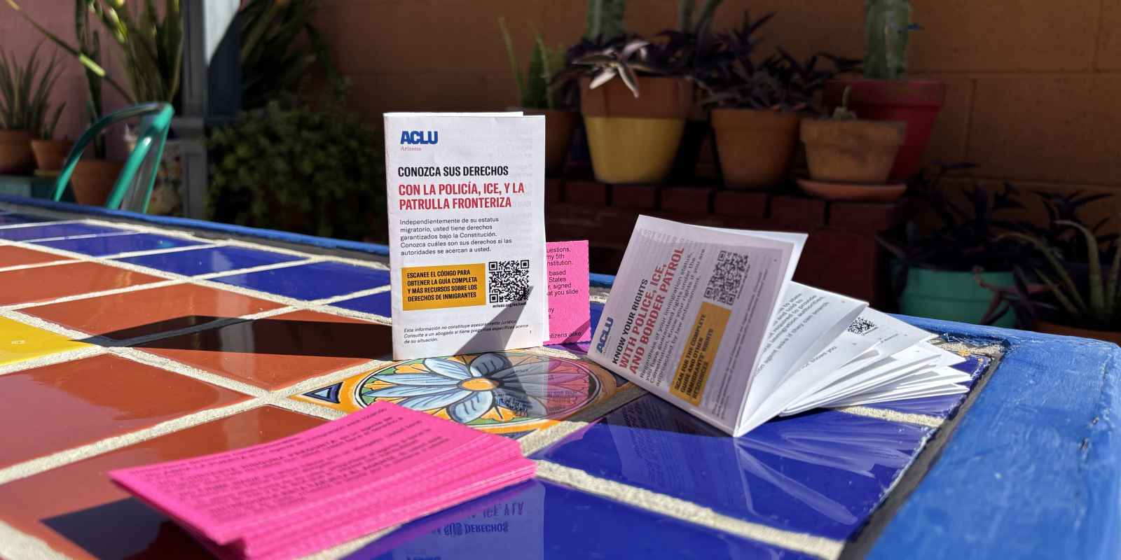 Know Your Rights zine with red cards on a tile table