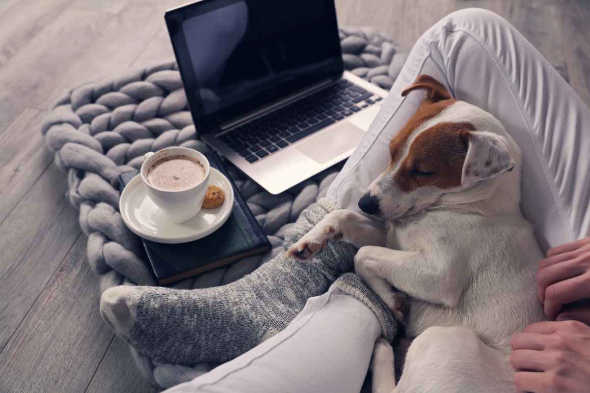 woman with laptop and dog 
