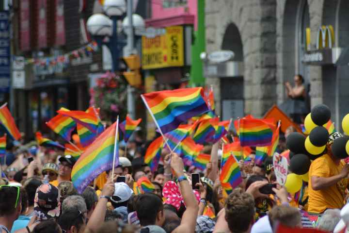 pride flags waving in the air