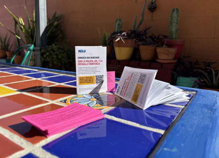 Know Your Rights zine with red cards on a tile table