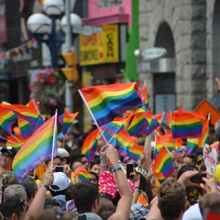 pride flags waving in the air